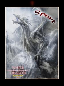 #53
